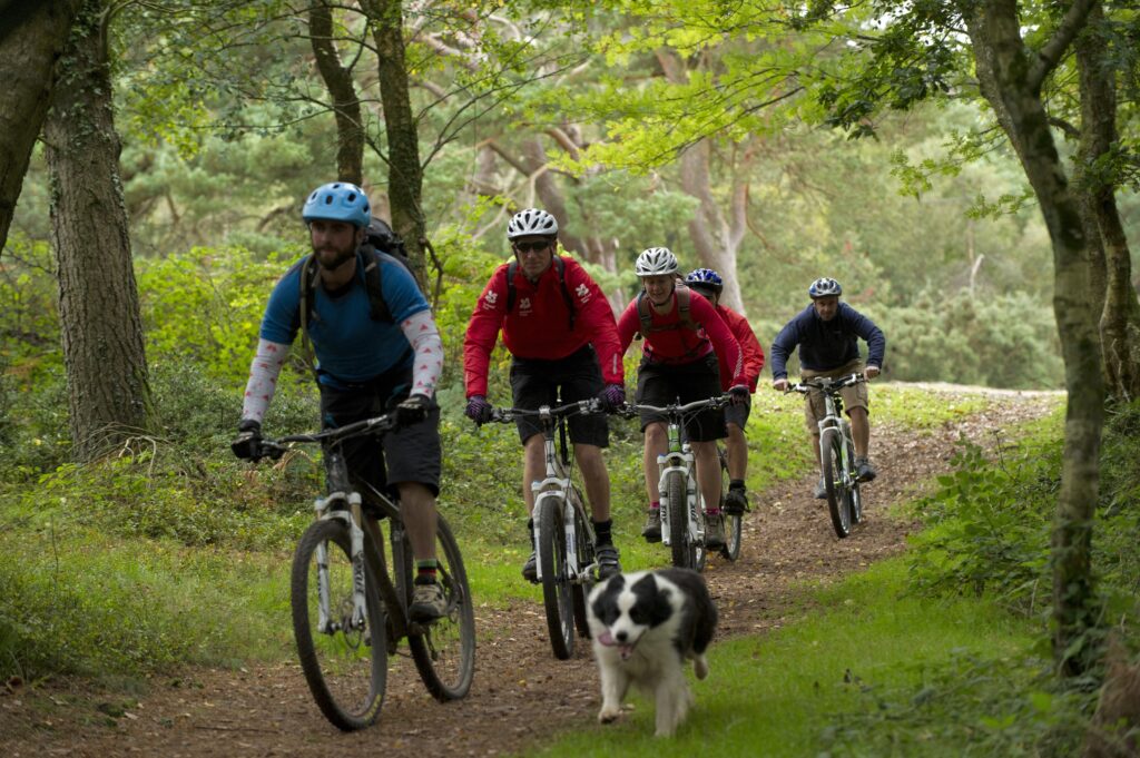 Mountain bikers at Holnicote Estate. Source: National Trust Images/John Millar. Used with permission