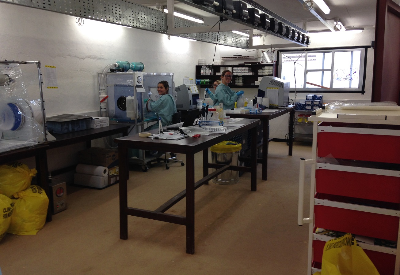 Working in lab