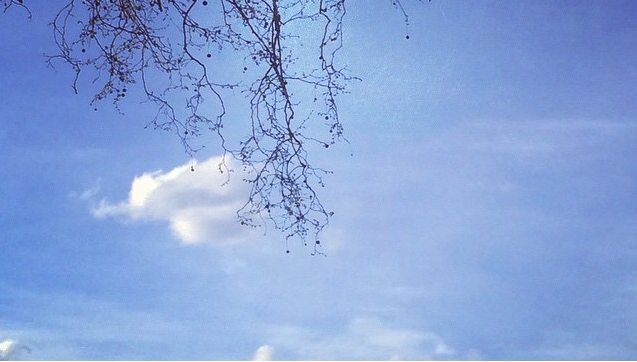 bluesky