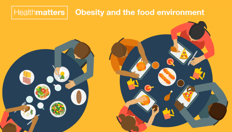 Implementing The Whole Systems Approach To Obesity Uk Health Security Agency