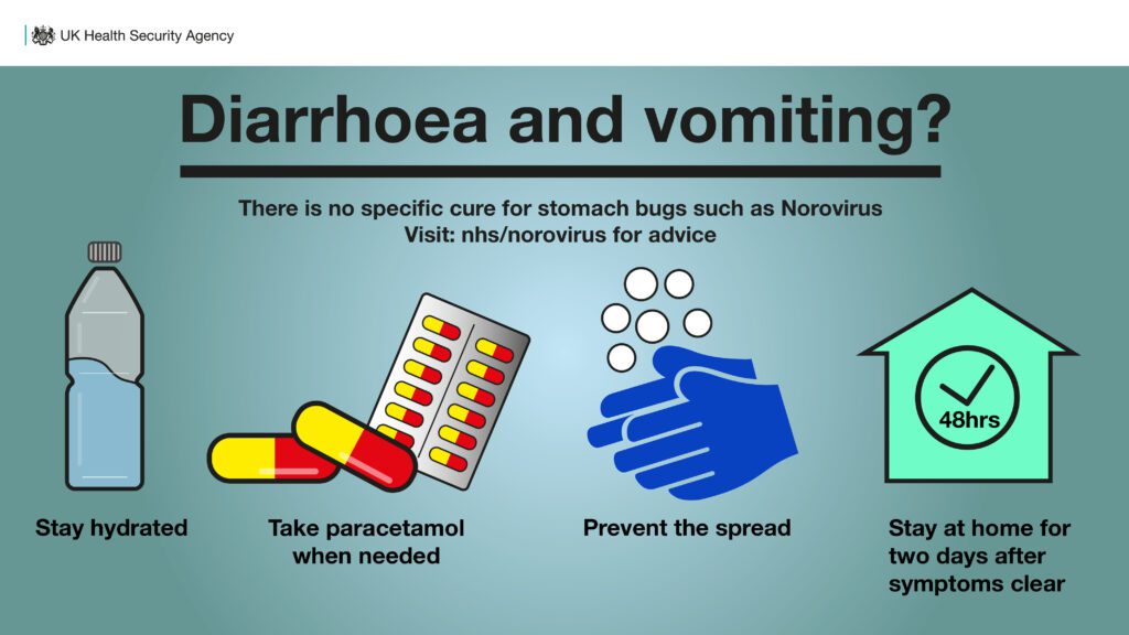 Graphic reading: Diarrhoea and vomiting? There is no specific cure for stomach bugs such as norovirus. Stay hydrated, take paracetamol when neeeded, wash hands and stay home for two days after symptoms clear.