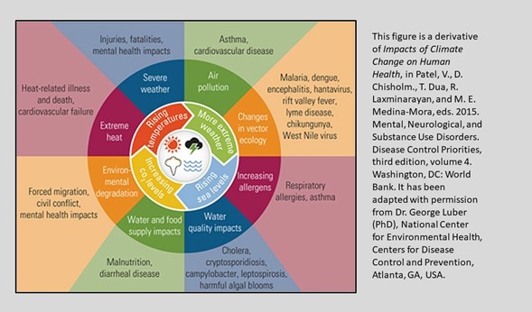 A diagram showing some of the impacts on climate change on human health, including air pollution, changes in vector ecology, increasing allergens, water quality impacts, water and food supply impacts, environmental degradation, extreme heat, severe weather