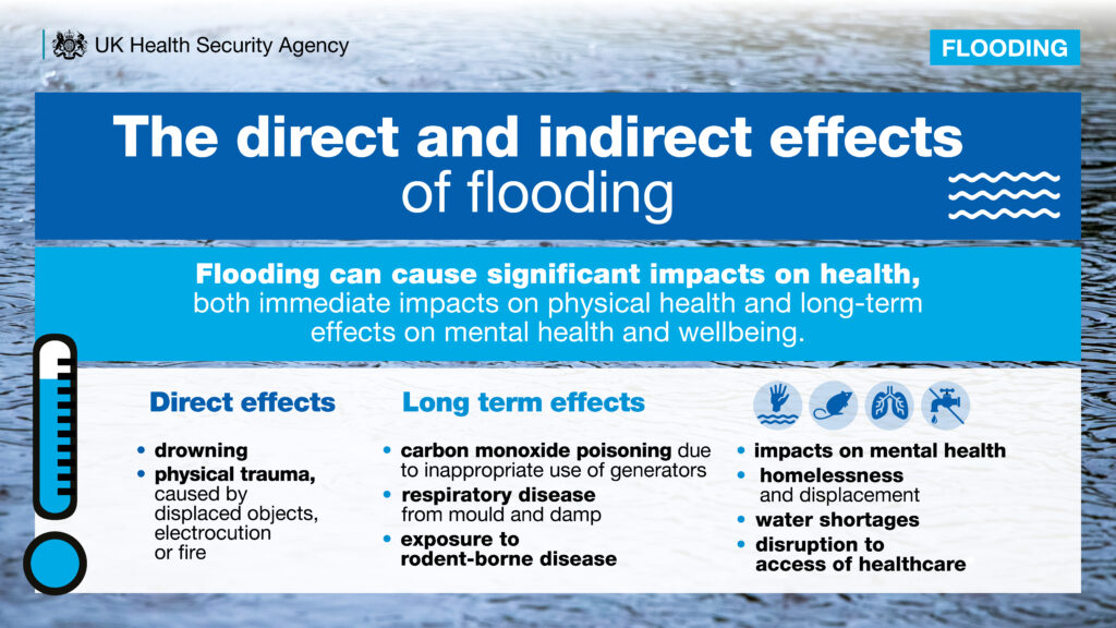 Infographic on the direct and indirect effects of floods