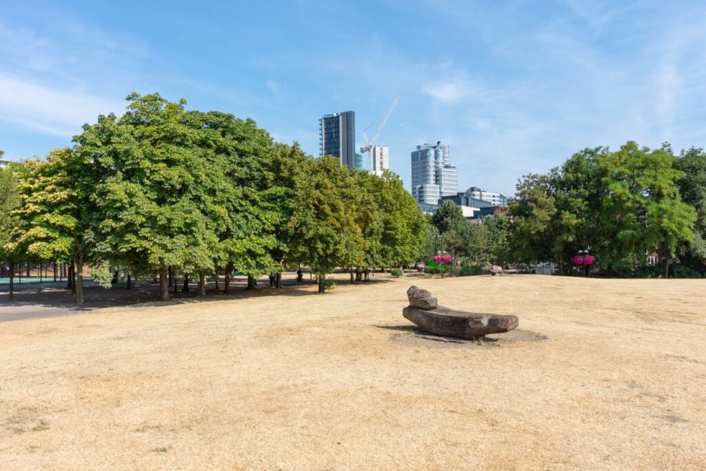 Dried grass in Vauxhall Pleasure Gardens during July 2018