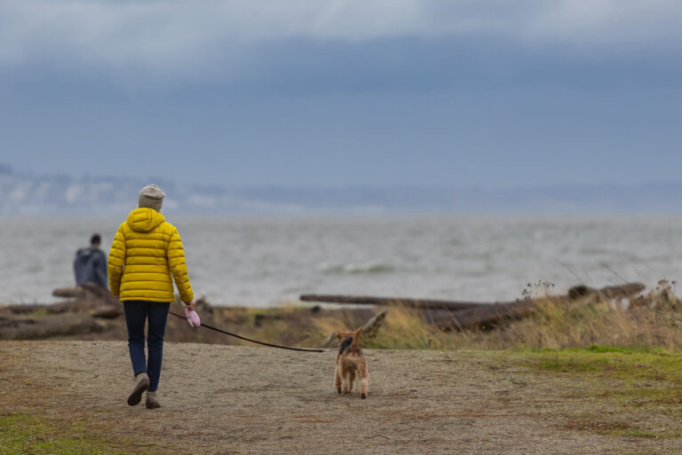 Get Winter Strong: why having a flu vaccination matters – UK Health