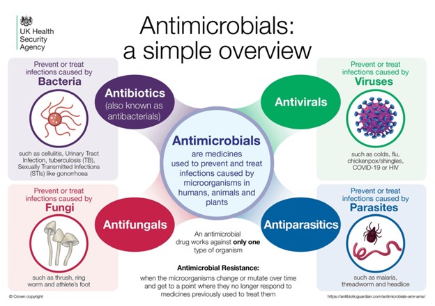 Visual breakdown of different antimicrobials