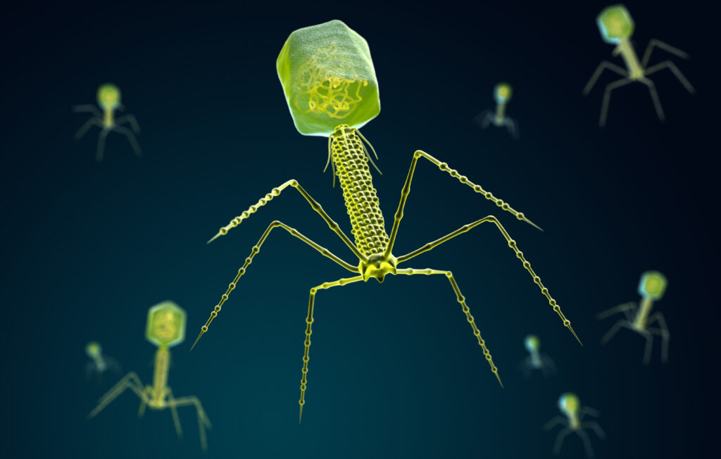 Stylised visualisation of a bacteriophage