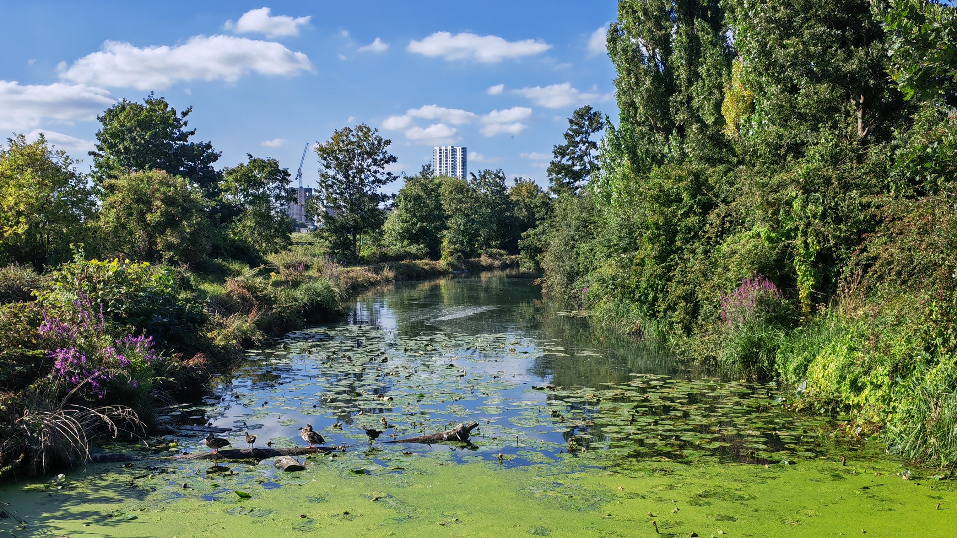 How to stay healthy while wild swimming