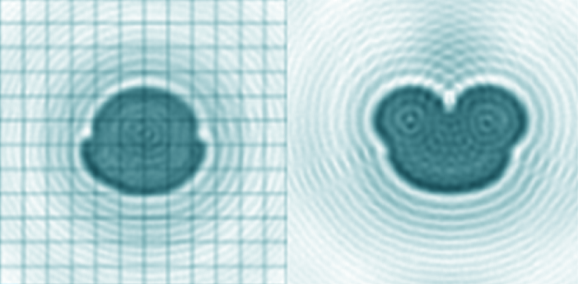 Two comparisons of pollen samples, one more rounded, the other similar in silhouette to Micky Mouse.