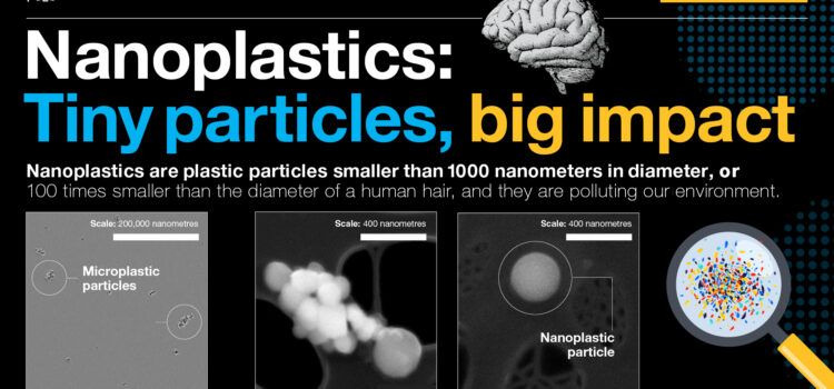 Graphic showing nanoparticles under the microscope and the text: Nanoplastics - Tiny particles, big impact
