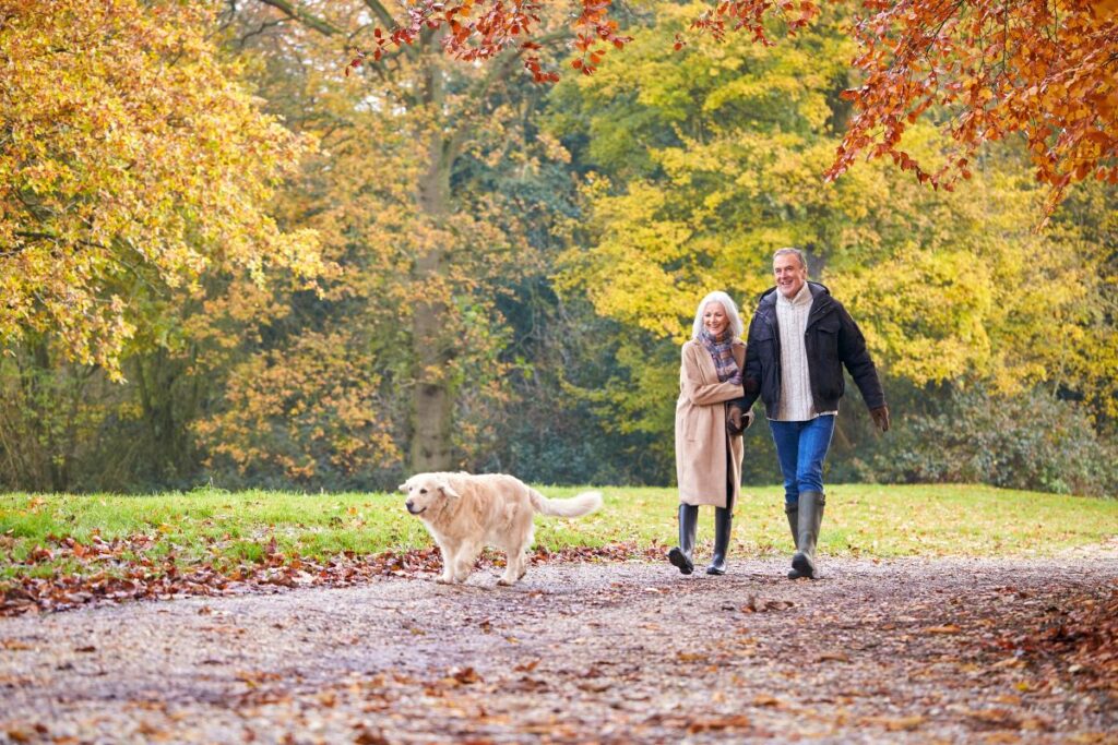 Older couple walking their dog outdoors in the autumn