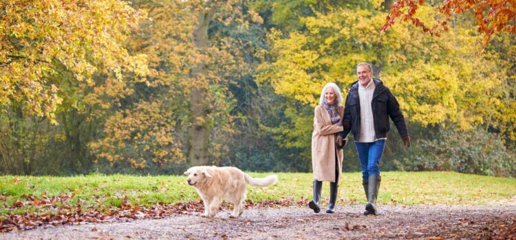 Older couple walking their dog outdoors in the autumn
