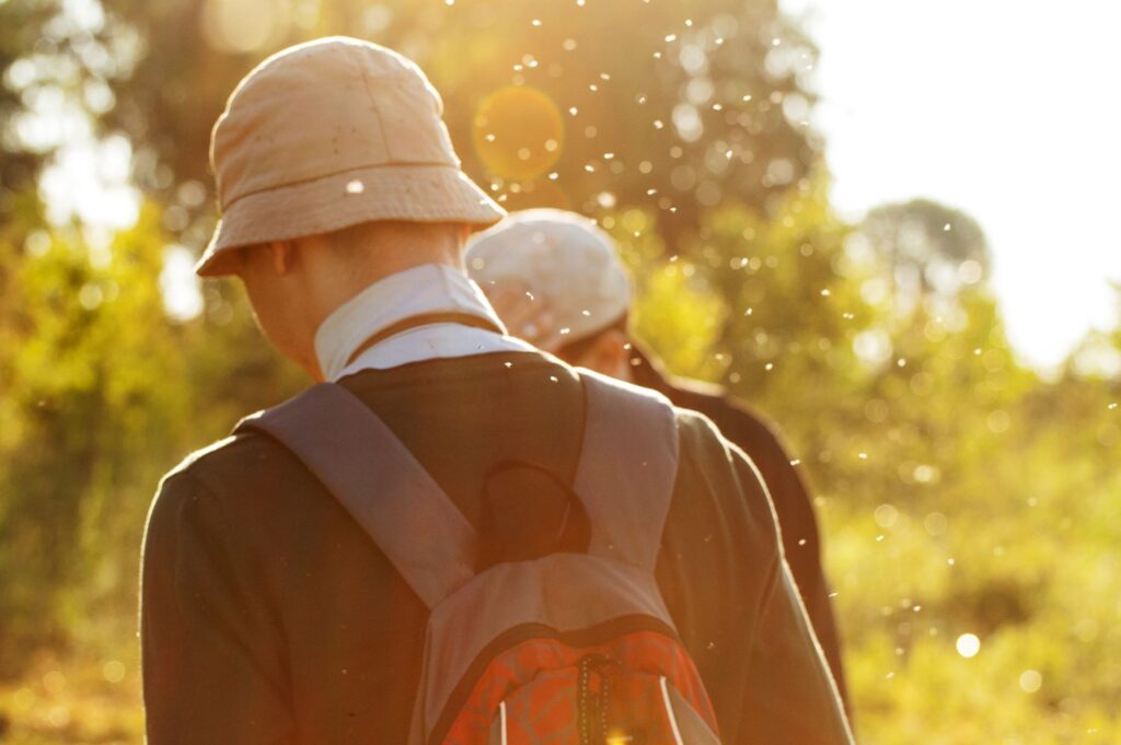 Two men seen from behind, walking through a cloud of midges