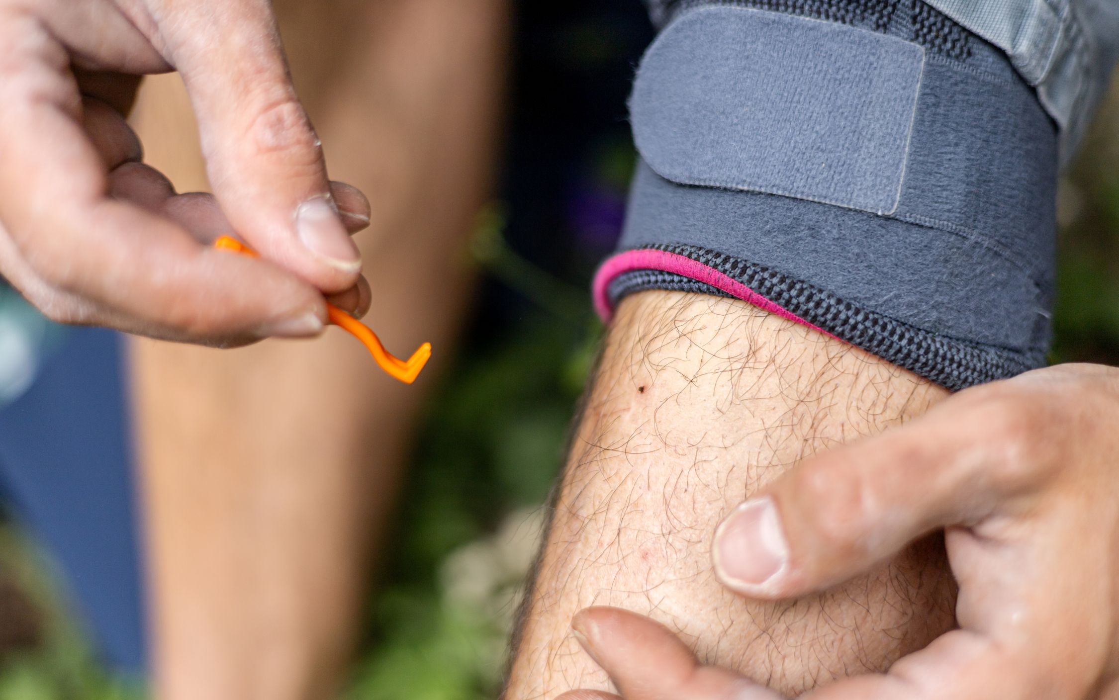 What is Lyme disease and how is it diagnosed and treated?